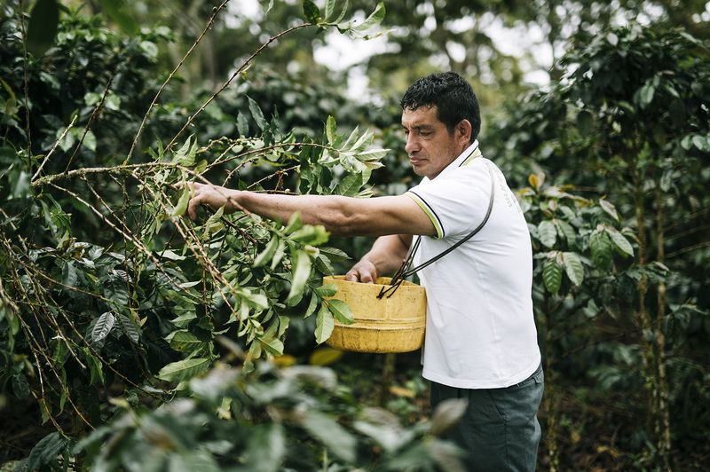 Fairtrade