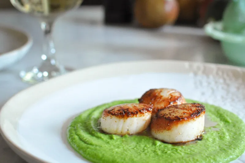 Seared Scallops With Pea Purée