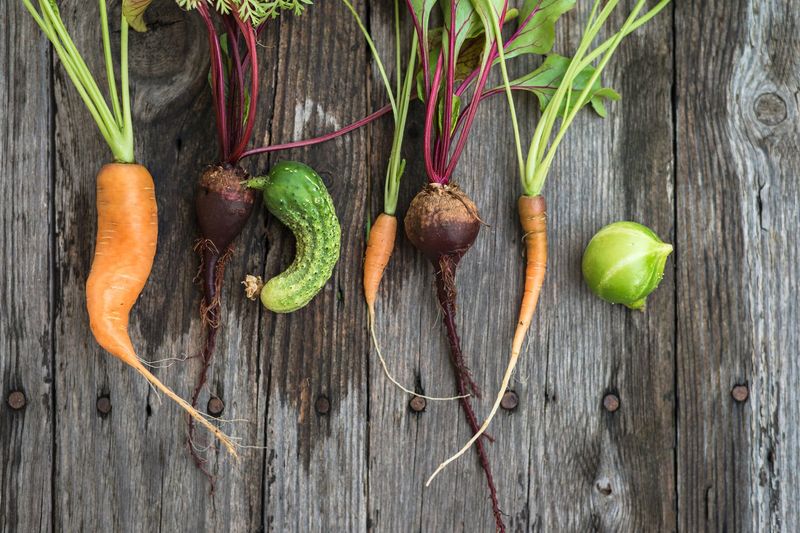 Don't Ignore 'Ugly' Produce