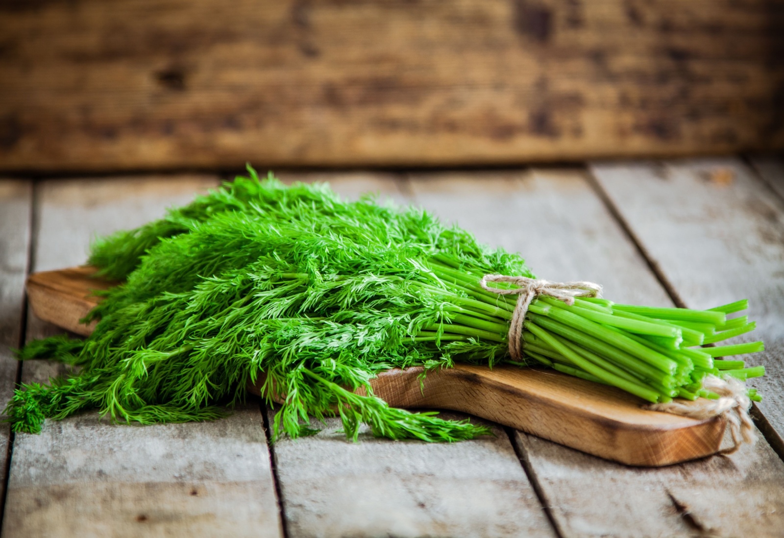 Fresh Dill