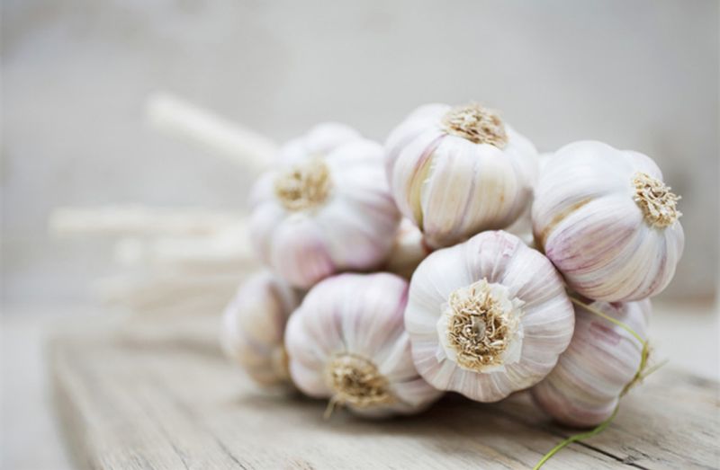 Garlic Overload
