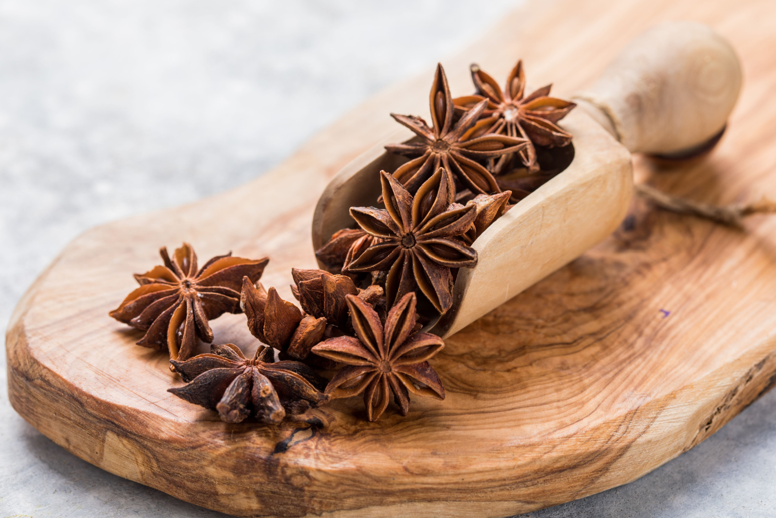 Star anise or chinese badiane spice or Illicium verum.
