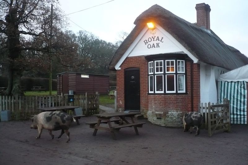 The Royal Oak, Fritham
