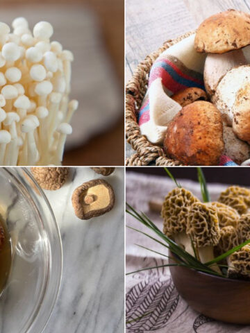 10 Common Types Of Mushrooms And How To Prepare Them