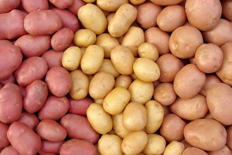 Pick The Right Potato