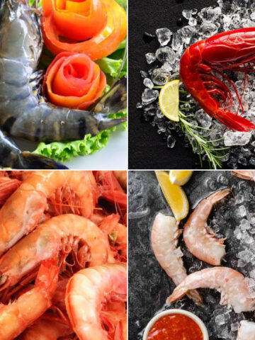 12 Types Of Shrimp You Should Try