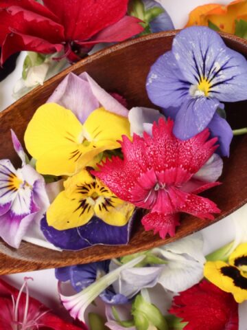 14 Common Edible Flowers Around The World