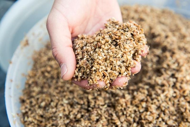 Upcycled Food