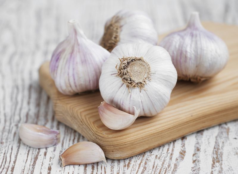 Garlic