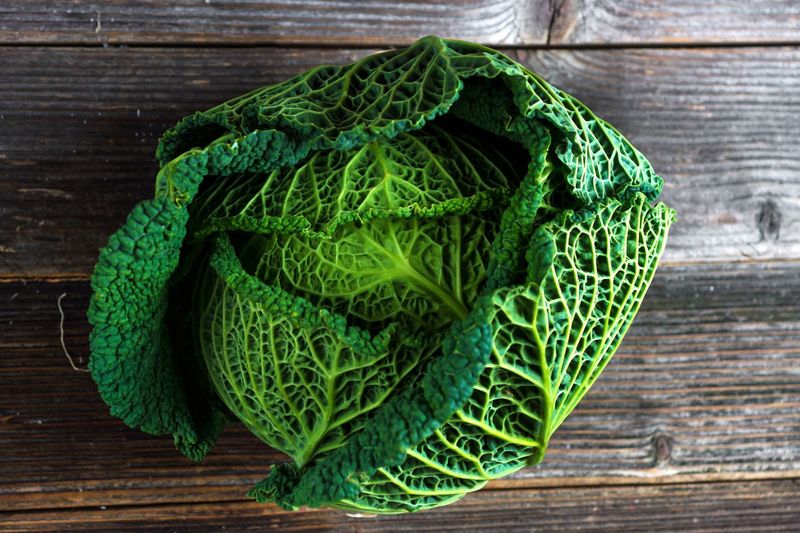 Savoy Cabbage