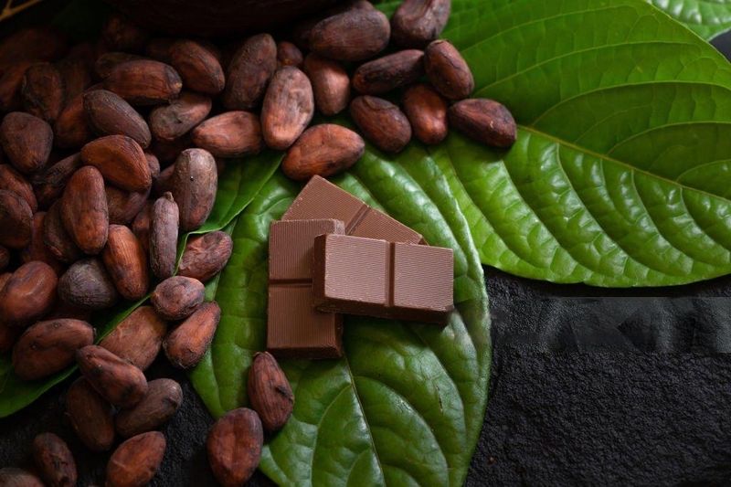 Dark Chocolate