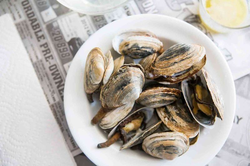 Steamers (Soft Shell Clams)