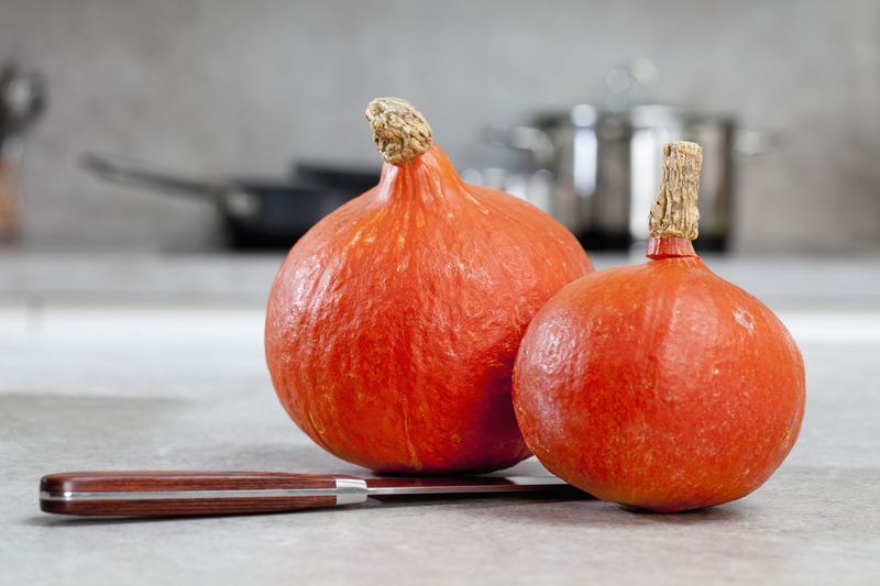 Red Kuri (Hokkaido)