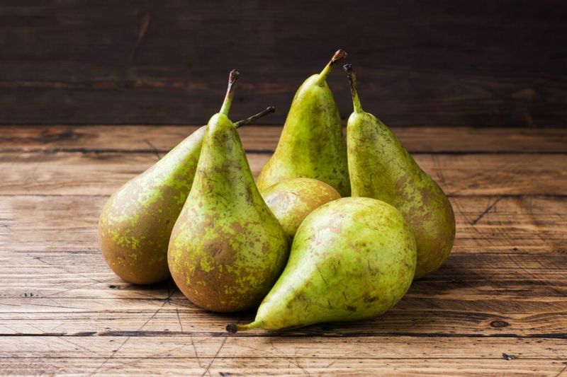 Conference Pears