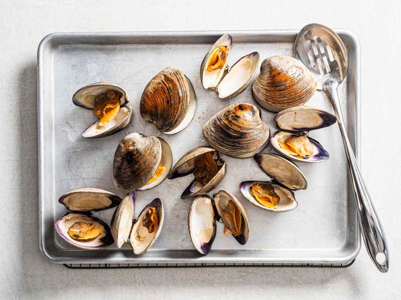 Quahog Clams