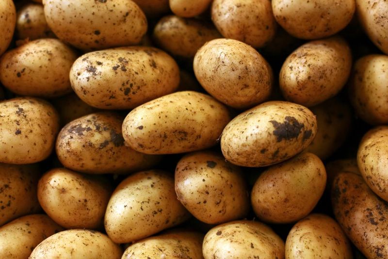 Potatoes Are Packed With Useful Nutrients