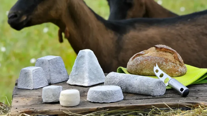 Chèvre