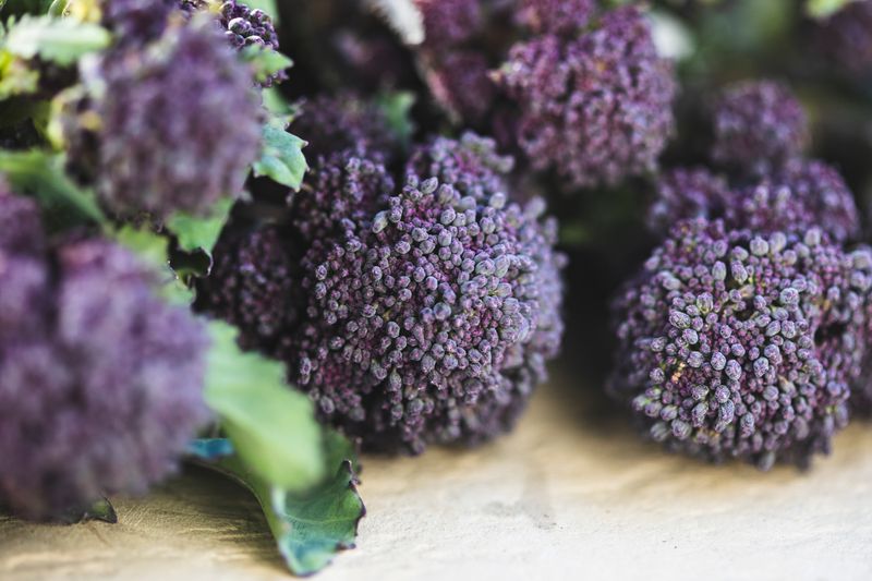 Purple Sprouting Broccoli