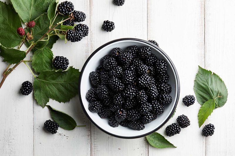 Blackberries
