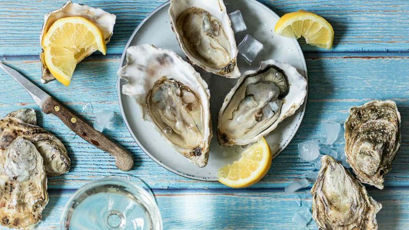 Oysters