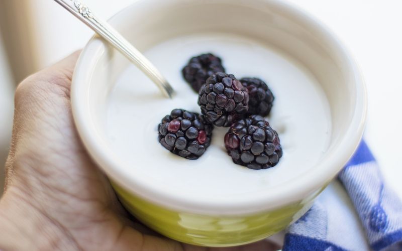 Live Yoghurt