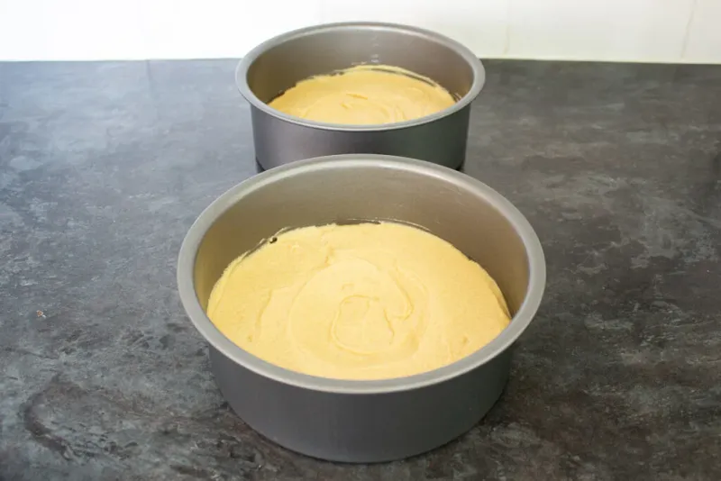 Divide Batter Between Tins Evenly