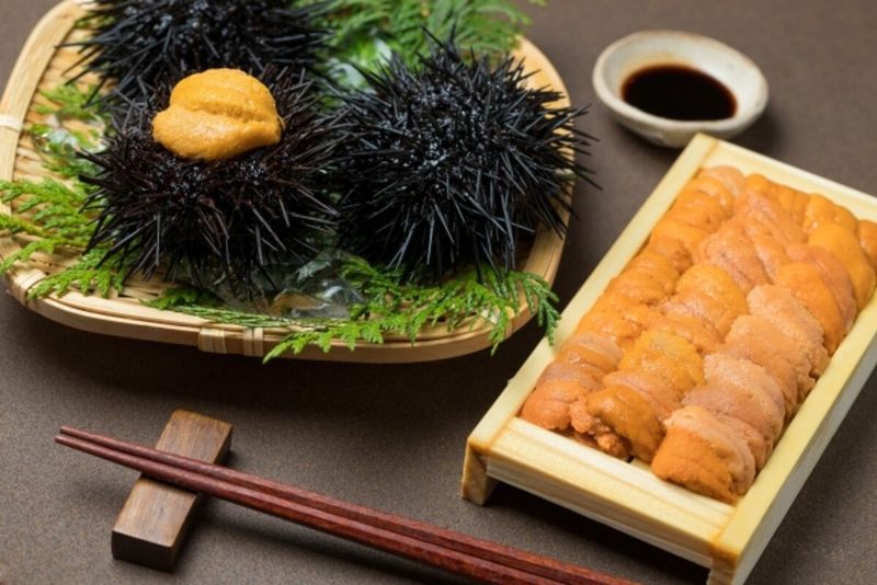 Sea Urchin (Uni)