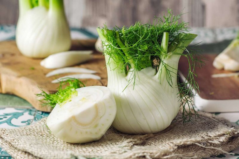 Fennel
