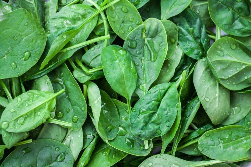 Spinach