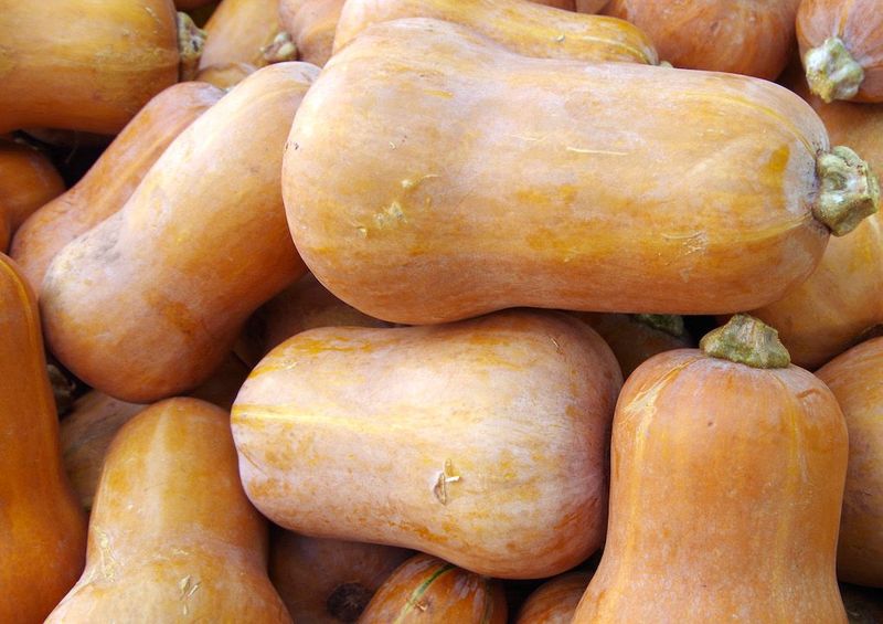 Honeynut Squash
