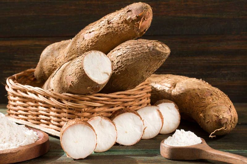 Ecuadorian Yuca Root