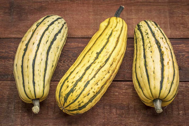 Delicata Squash