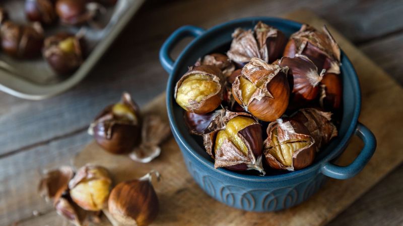 Packed With Antioxidants