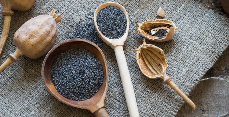 Poppy Seeds