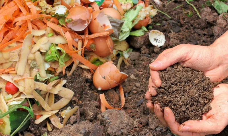 Compost Bin Addition