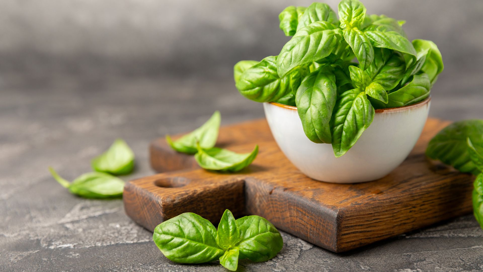 How To Store Basil For A Week - The Daily Dish