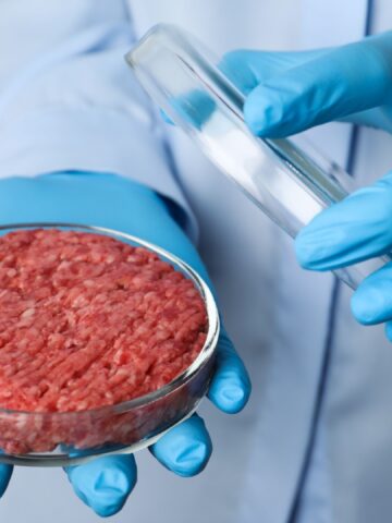 Incredible Foods Of The Future Ranked