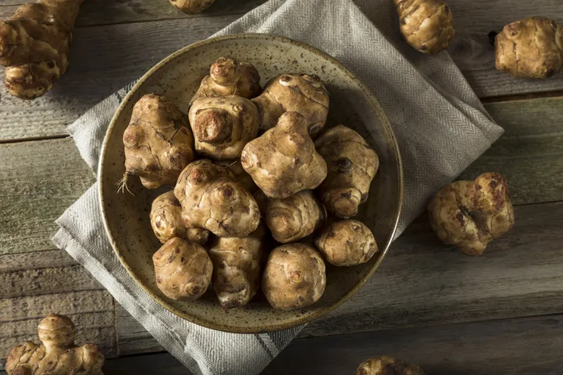 Jerusalem Artichoke