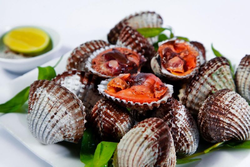 Blood Clams