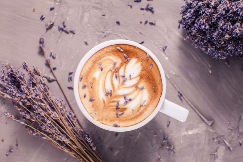 Lavender Dreams Brew