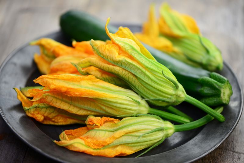 Squash / Zucchini Blossoms