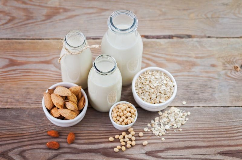Cell-Based Dairy Alternatives