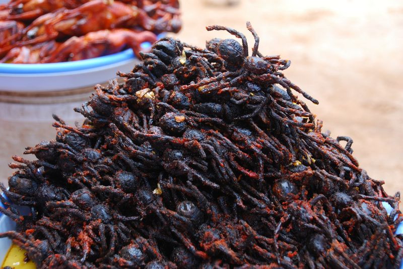 Fried Tarantula, Cambodia
