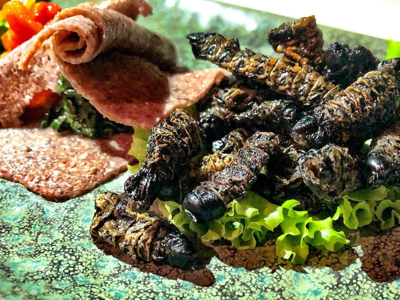 Mopane Worms, Southern Africa