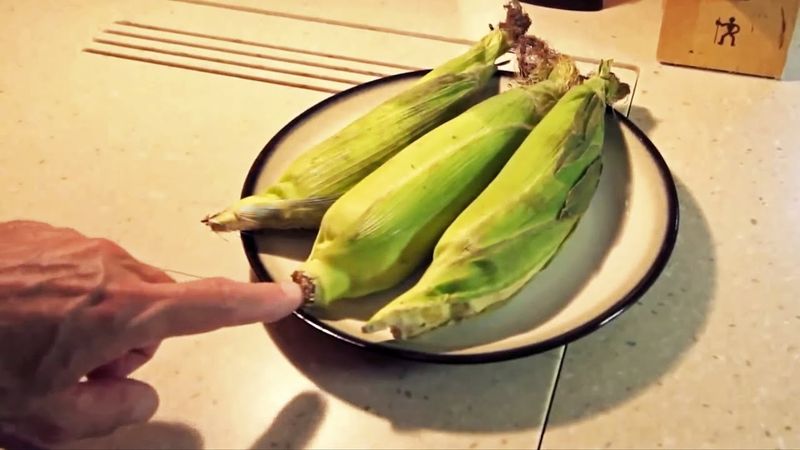 Microwave Cooking In Husks