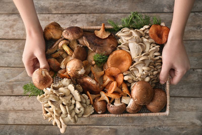 Mushrooms