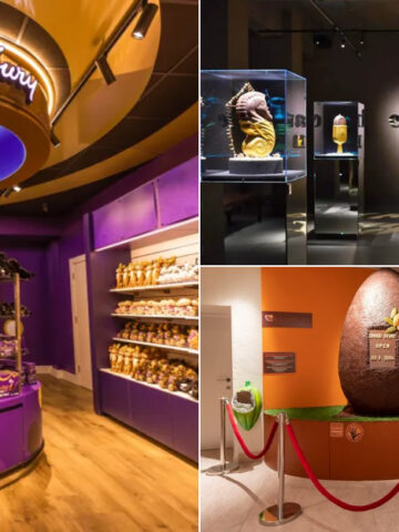 The Ultimate Guide To Chocolate Museums You Need To See