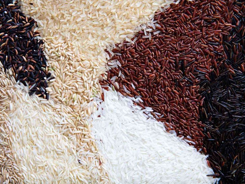 Rice