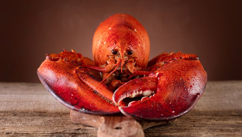 Lobster