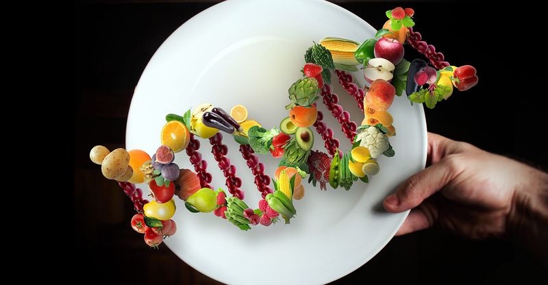 Personalised Nutrition Meals